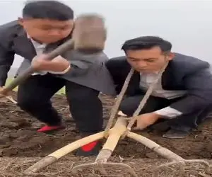 کشاورزی نوین؛ چشم بادومی ها مرزهای شخم رو جا به جا کردن