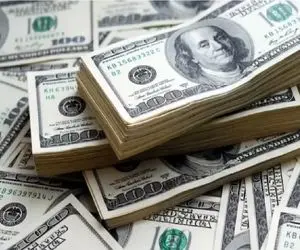 قیمت دلار توافقی امروز دوشنبه 14 مهر 1404 / حواله دلار ثابت ماند