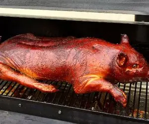 فراوری خوک؛ موی خوک سیاه نجس رو آتیش میزنه میل داغ از پوزه اش رد میکنه بریونی بشه