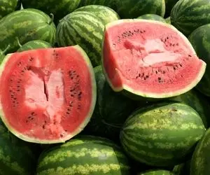 چرا باید هندوانه بخوریم؟