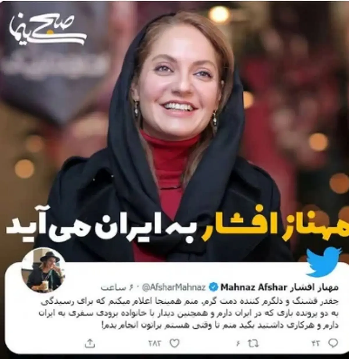 مهناز افشار