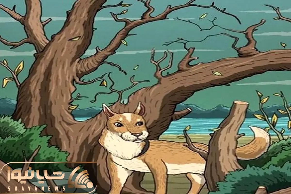 بازی فکری؛ گربه مخفی این تصویرو خیلیا نتونستن پیدا کنن تو بتونی بیناییت 10 از دهه