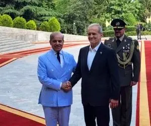 تصاویری از لحظه تذکر دژبان تشریفات ریاست‌جمهوری به پزشکیان