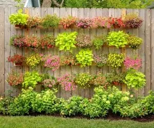 ایده های خلاقانه؛ اگه خونت باغچه نداره روی دیوارش باغچه ایستاده بساز که نظیرش نباشه