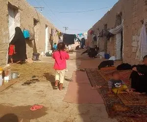 اجاره ۲ میلیونی برای زندگی در اصطبل و گاوداری