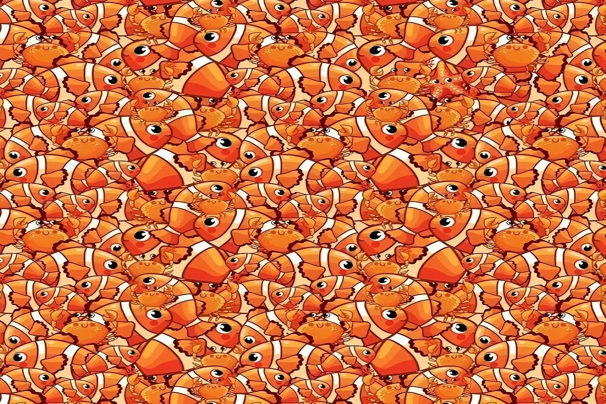 تست-بینایی-یافتن-ستاره-دریایی-ماهی-ها