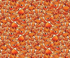 بازی فکری؛ بتونی ستاره دریایی رو بین انبوهی از نموها پیدا کنی بیناییت بیگ لایک داره