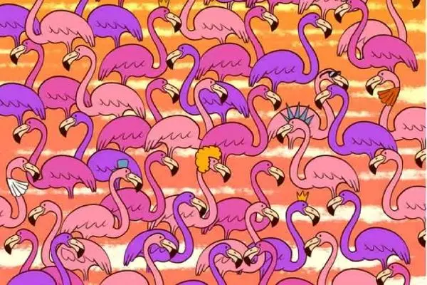 بازی فکری؛ بین ولنتاین فلامینگوها قلب رو پیدا کن