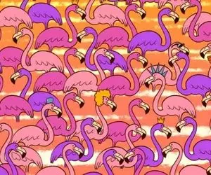 بازی فکری؛ بین ولنتاین فلامینگوها قلب رو پیدا کن