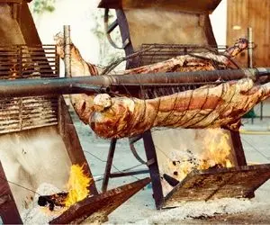 غذاهای غول پیکر؛ دست و پای گاومیش 100کیلویی بسته به صلیب کشیده تا مغزپخت بشه