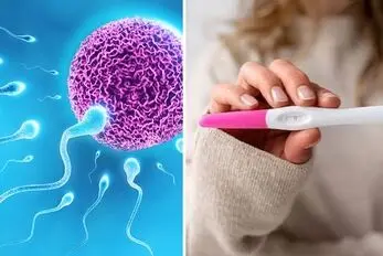پیشاب احتمال بارداری دارد یا خیر؟ داخلش اسپرم متحرک فعاله؟ / تفاوتش با مایع منی