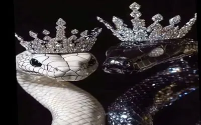 اگر حیوانات آدم بودند؛ ماری که تاج سلطه و شکوهش را به احدی نمی‌بخشد