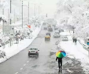 برف در مشهد قربانی گرفت + جزئیات
