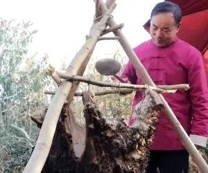 غذای گوشتی ؛ از پشم گوسفند به عنوان قابلمه استفاده کرد/مغزت رگ به رگ میشه همزدنشو ببینی