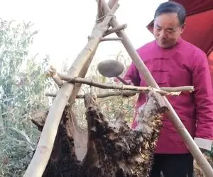 غذای گوشتی ؛ از پشم گوسفند به عنوان قابلمه استفاده کرد/مغزت رگ به رگ میشه همزدنشو ببینی