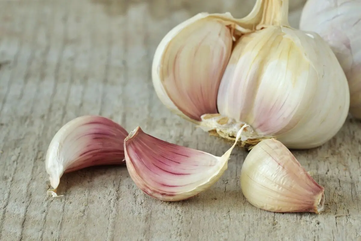 close-up-of-garlic-on-table-760254411-5bcbf91c4cedfd0026f2b89d