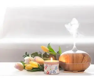 ترفندهای خانه داری؛ چکار کنیم که خونمون همیشه خوشبو باشه؟