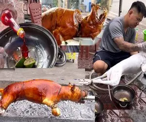 کباب سگ؛ میل داغ رو از دهن سگ سفید زنده ولگرد فرو میکنه رو ذغال بریونی میکنه