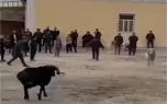 طنز حیات وحش؛ سرشاخ شدن بزها واگیر داشت رسید به صاحباشون طنز حیات وحش؛ سرشاخ شدن بزها واگیر داشت رسید به صاحباشون