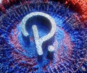 سقف تاریخی از پولکادات!