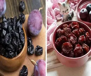 روش های  طلایی برای خشک کردن آلو سیاه بدون دستگاه حرفه ای/ساده، سریع و مقرون به صرفه