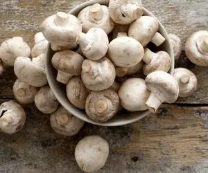 ترفندهای خانه داری؛ نحوه فریز کردن قارچ بدون اینکه سیاه بشه