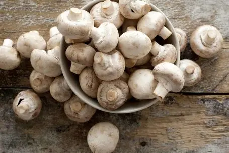 ترفندهای خانه داری؛ نحوه فریز کردن قارچ بدون اینکه سیاه بشه