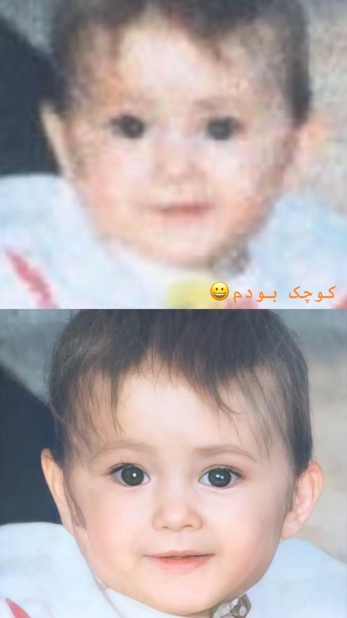 _fereshtehosseini_2577226912701891593_3517444629