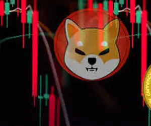 پیش بینی جنجال برانگیز ازشیبااینو دوج کوین!!