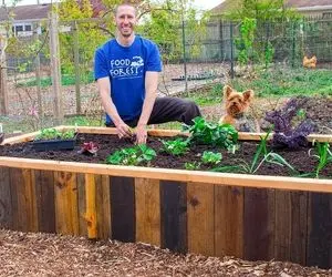 ایده های خلاقانه؛ عاشق گل و گیاهی ولی جا نداری تو جعبه واسه خودت یه باغچه جذاب بساز