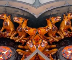 کباب سگ؛ پوست سگ نازنازی و بعد جوشوندن میکنه دست و پا بسته میندازه تو تنور 