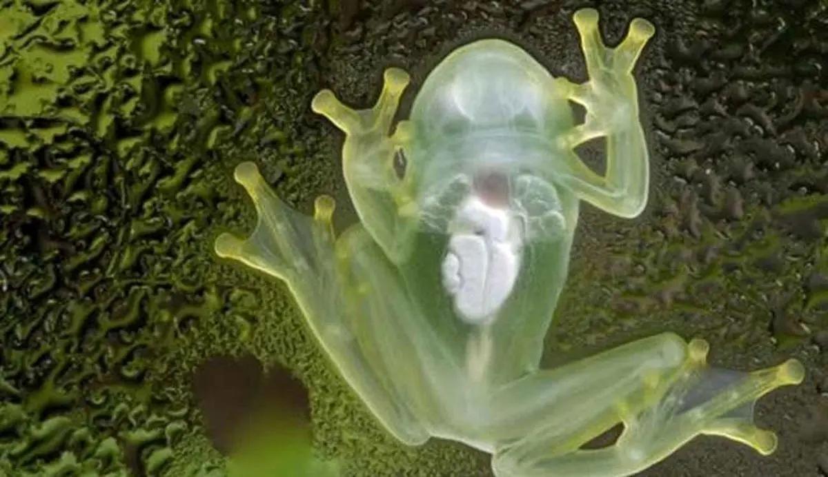 1a1edb31-9d3b-429d-86ec-2c7f24404991