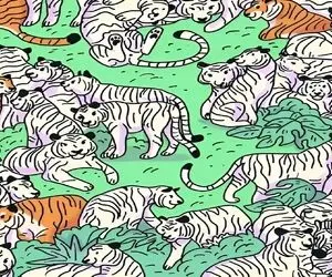 بازی فکری؛ حتی خلبان های حرفه ای نتونستن گورخر استتار کرده بین ببرهارو پیدا کنن