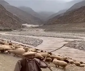 مستند کاوش؛ سیل اومد گوسفندا زودتر از چوپون فراریدن