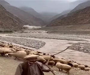 مستند کاوش؛ سیل اومد گوسفندا زودتر از چوپون فراریدن