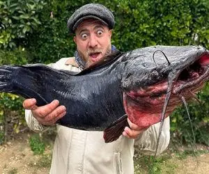 غذای باحال؛ گربه ماهی و با سبزی خوردن آبپز کرد آش ماهی شد برای خودش خوش رنگ و رو