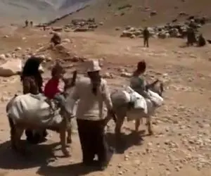 آواز محلی؛ پیرزن چوپانی که با مشقت الاغارو میبره تو بر بیابون چه سوزناک زمزمه میکنه