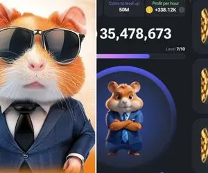 (عکس) کارت های امروز جمعه 2 شهریور همستر کامبت + آموزش وارد کردن