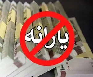 برق و گاز زیاد مصرف کنید ممکن است یارانه تان حذف شود