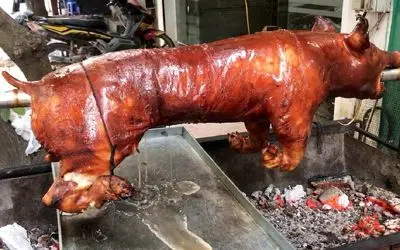 غذای خیابانی؛ خوک مُلَوَّث رو شَقه شَقه میکنن/ خانومه که درسته به دندون کشید