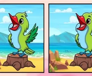 بازی فکری؛ هر کی بتونه تو 12 ثانیه تفاوت های دو تا طوطی رو پیدا کنه بیناییش لایک داره