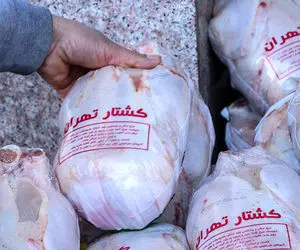 مرغ از ۴۰ هزار تومان گران ‌تر نمی ‌شود!