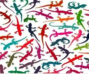 بازی فکری؛ چشای تیز و برنده مثل الماس باید داشته باشی تا مارمولک متفاوت رو پیدا کنی