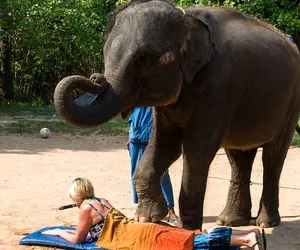 ماساژ زنان و مردان توسط فیلم های عظیم الجثه!