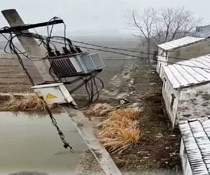 معماری طبیعت؛ تیر برق افتاد تو آب ماهیا رو برق گرفت مردن اومدن رو آب