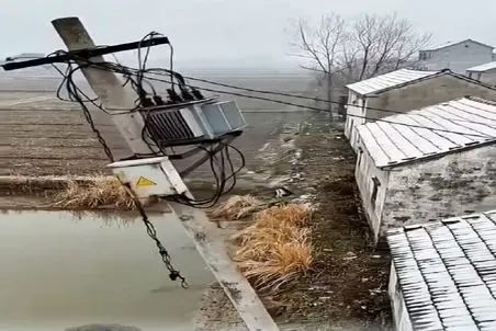 معماری طبیعت؛ تیر برق افتاد تو آب ماهیا رو برق گرفت مردن اومدن رو آب