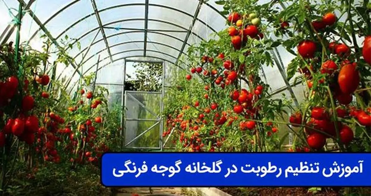 image_8805f524da9bbab4681adce54c74a7ee8b7e0f7b