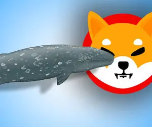 بیدار شدن نهنگ شیبا اینو از خواب زمستانی!