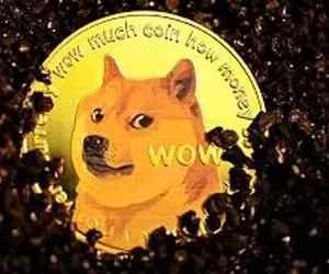 سیگنالی کارآمد از دوج کوین!!