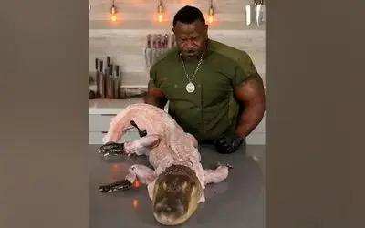 غذای خیابانی؛ کروکودیل بدبخت رو پاره پوره کرد تو روغن با اشتهای بی رحمانه بلعید